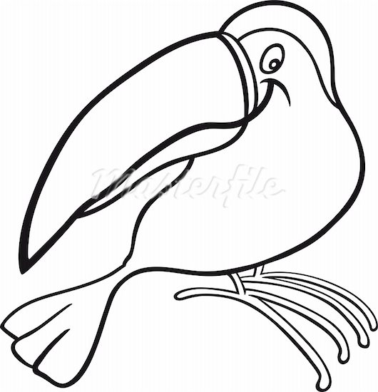 530x550 Toucan Clipart Outline