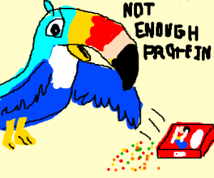 300x250 Toucan Clipart Fruit Loop
