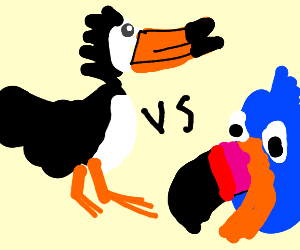 bvckup vs toucan