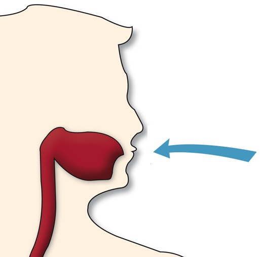 523x508 8 Best Giardiasis, Intestinal Parasite Images