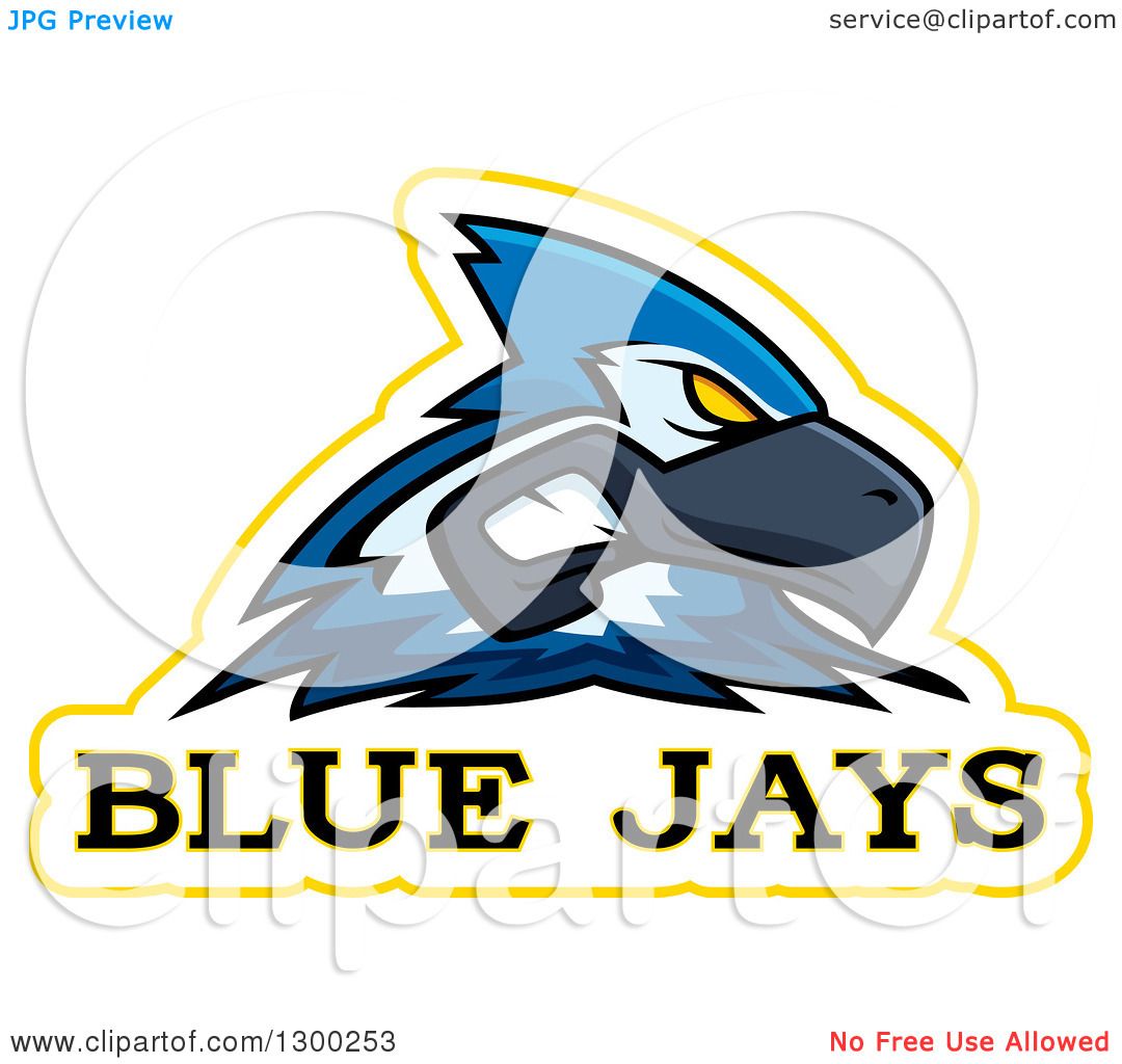 1080x1024 Clipart Of A Tough Blue Jay Bird Mascot Head With Text
