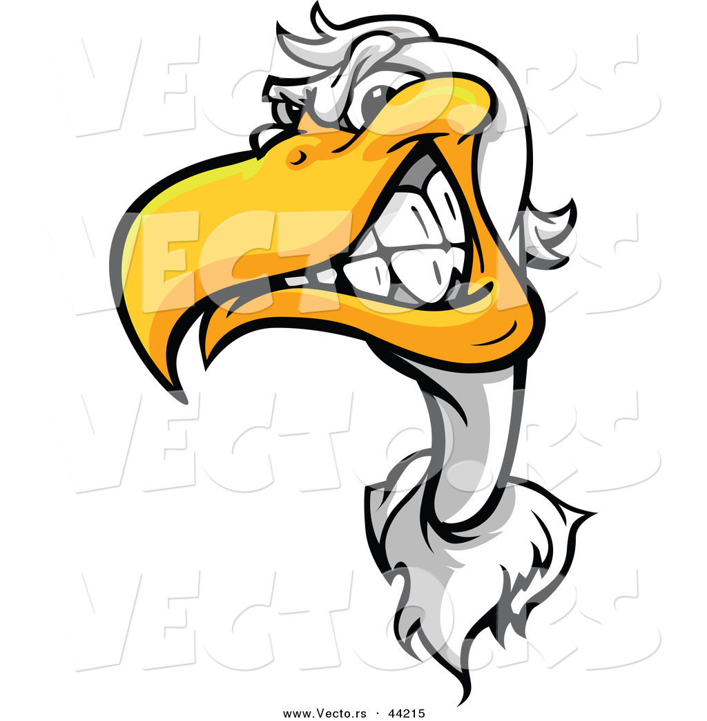 1024x1044 Seagull Clipart Angry