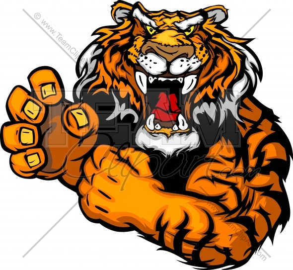 590x543 Tigres Clipart Tough
