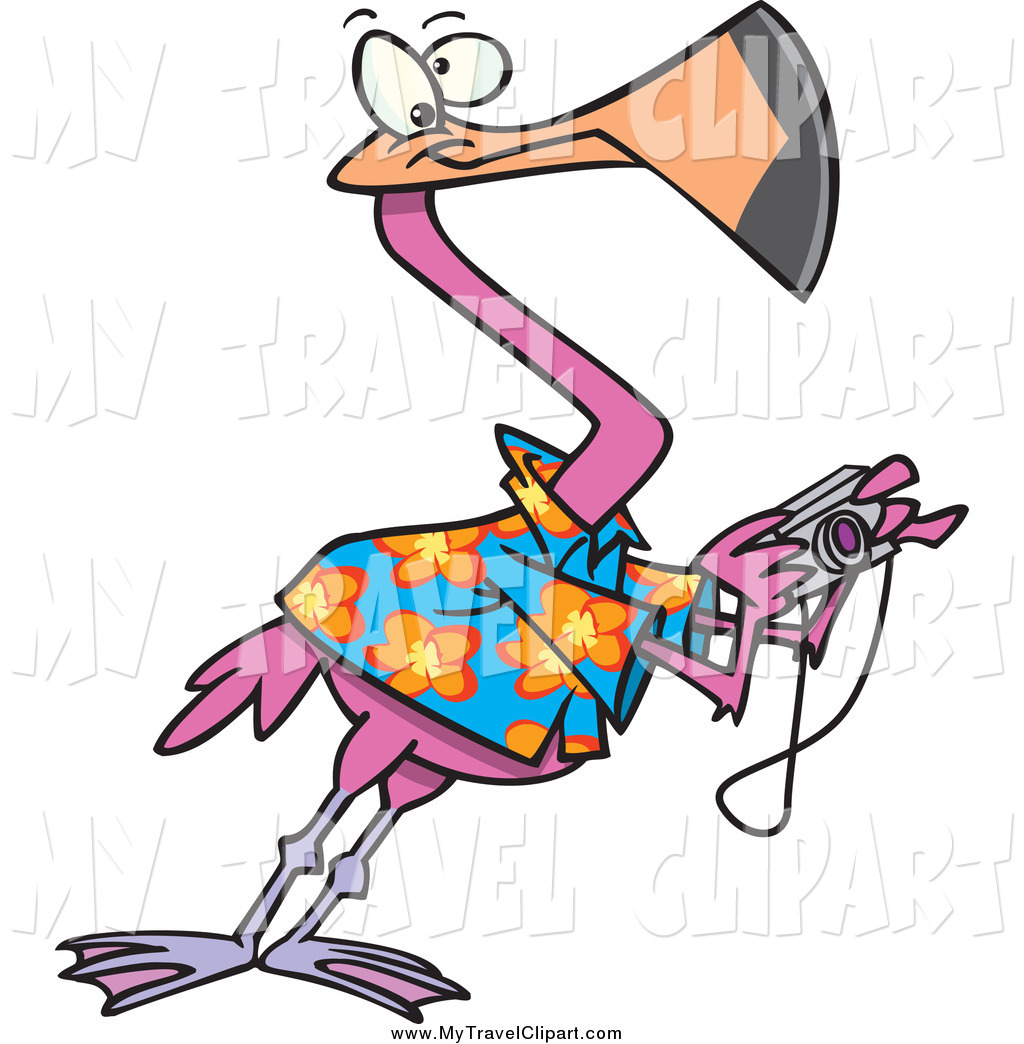 1024x1044 Clipart Of A Tourist Flamingo Taking Pictures By Toonaday