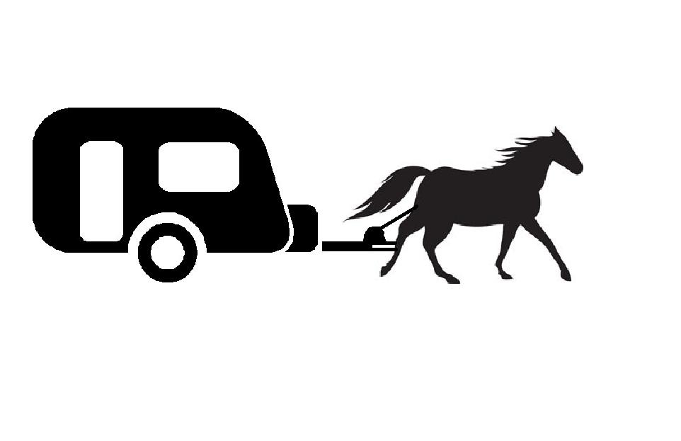 962x623 Horse Towing A Caravan Free Images