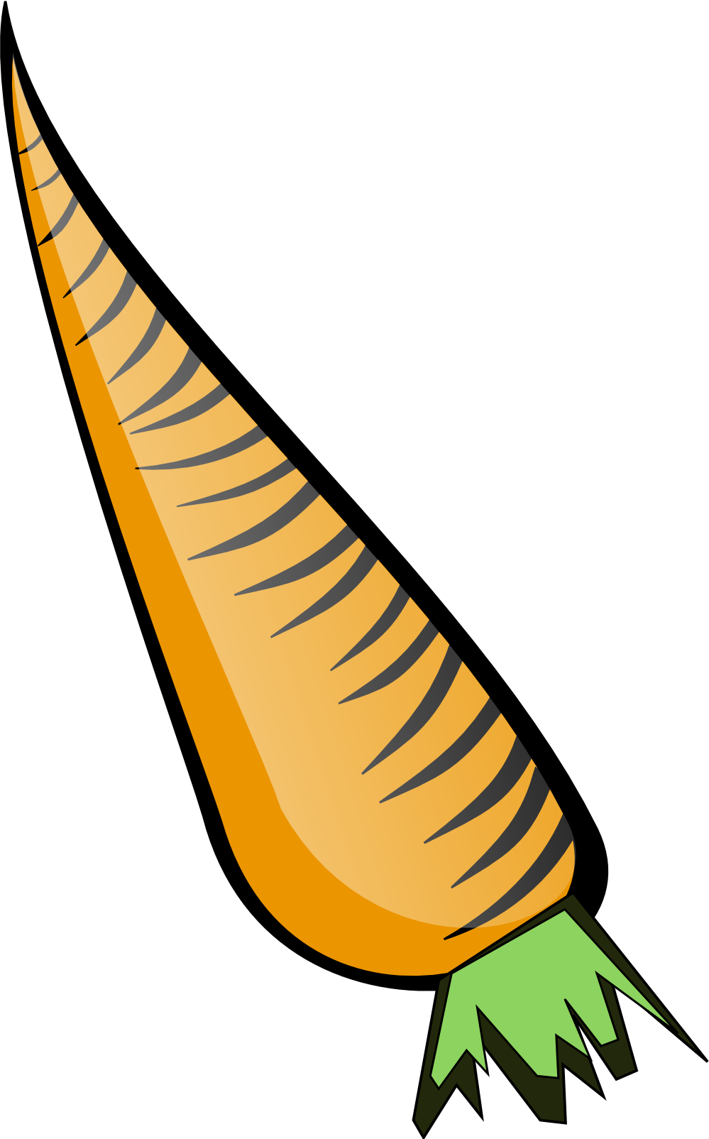 999x1604 Carrots Clip Art Clipart