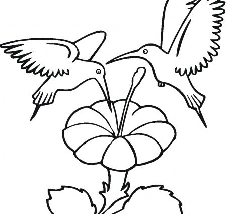 451x425 Traceable Flowers Printables