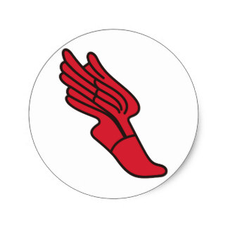 324x324 Custom Flying Shoes Stickers Zazzle.ca