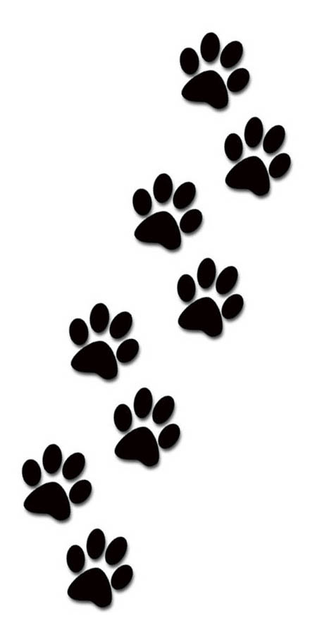 474x908 Paw Print Trail Clipart