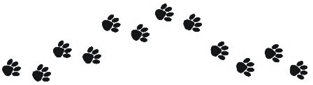 Trail Of Paw Prints | Free download on ClipArtMag