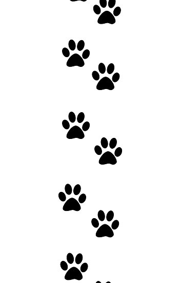 353x550 Paw Print Trail Clipart