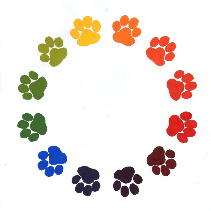 900x897 Paw Print Trail Clipart