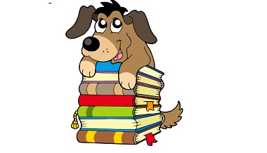 380x218 Dog Training Courses Montrealpooja's Dog Training