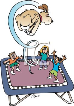 246x350 Kids And The Family Dog Playing On A Trampoline