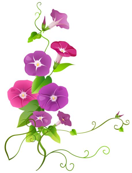 Transparent Flower Clipart