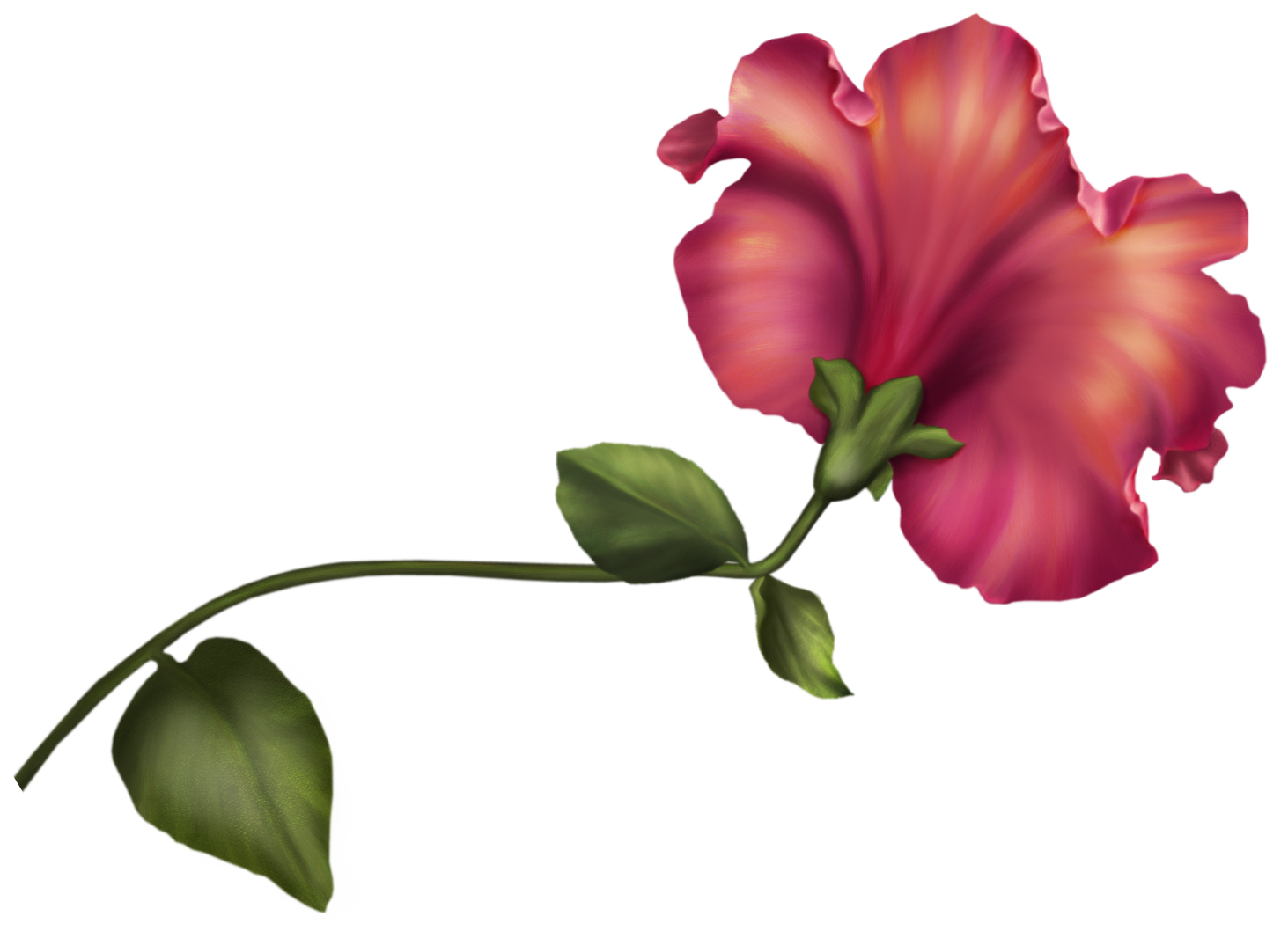 1463x1058 Vintage Flower Clipart Transparent