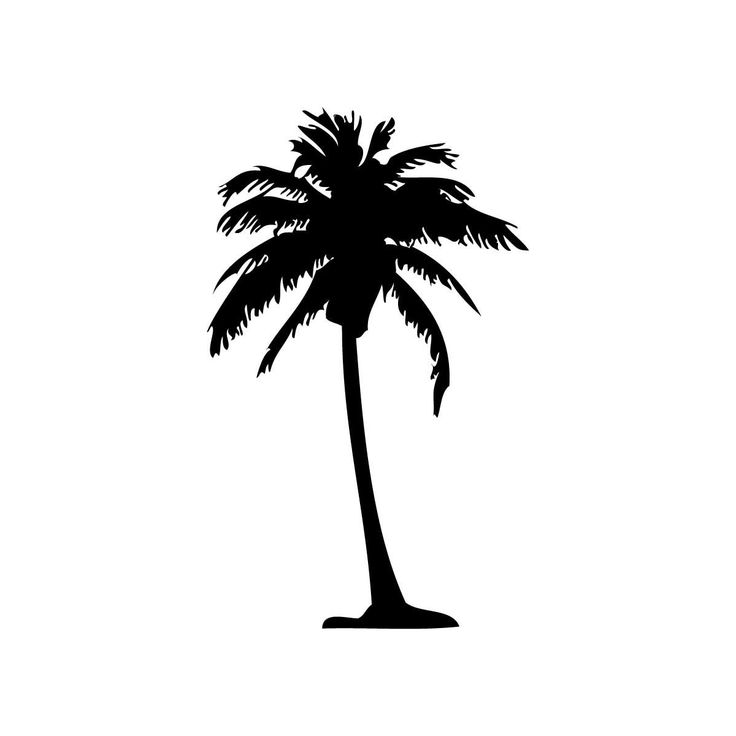 736x736 Palm Tree Clipart White Background