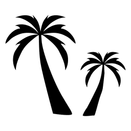 256x256 Palm Palm Tree