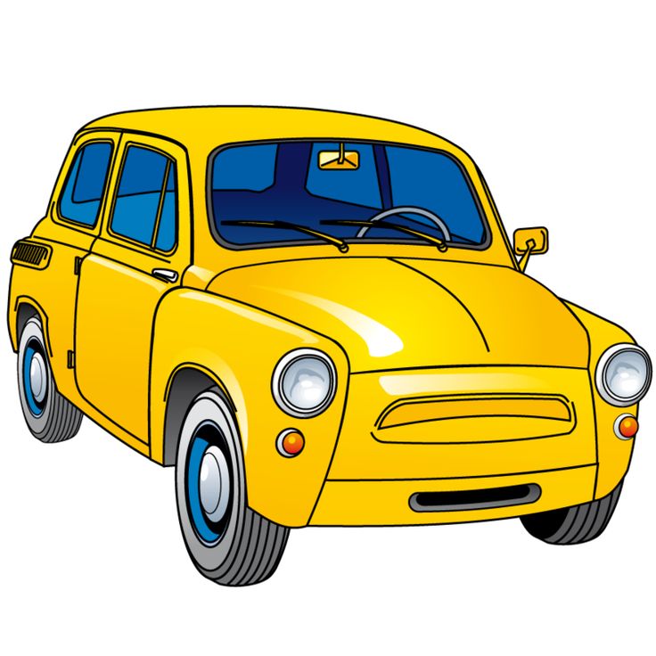 736x736 Tern Clipart Kinds Transportation