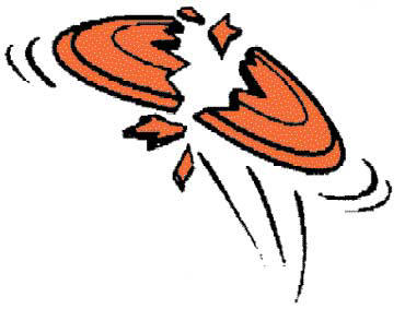 370x283 Pigeon Clipart Sporting Clay