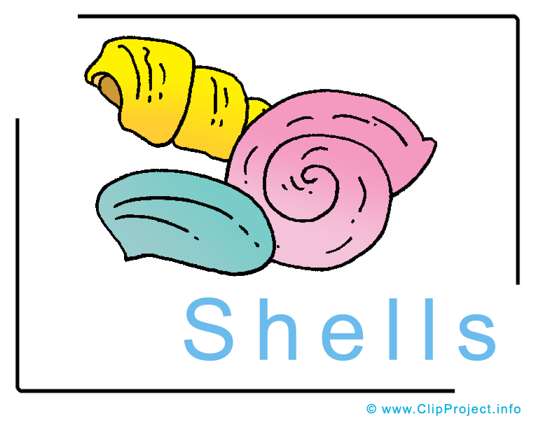 765x604 Shells Clipart Image Free