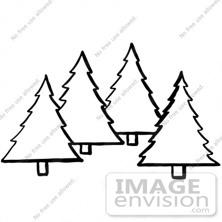 450x450 Evergreen Tree Clipart Black And White