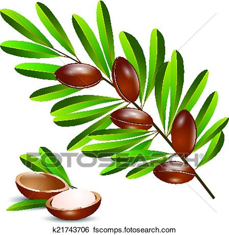 450x461 Clip Art Of Vector Illustration Argan Tree Branch K21743706