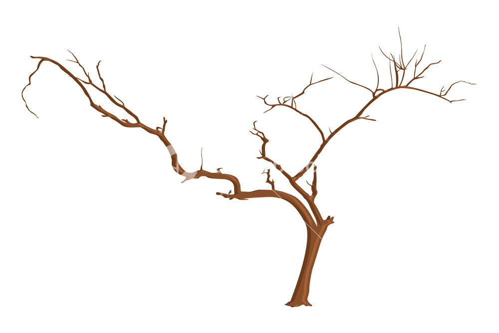 1000x669 Design Art Of Dead Tree Branches Royalty Free Stock Image