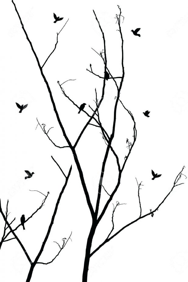 618x925 Outline Tree Branches Of Roots Three Outline Of Tree