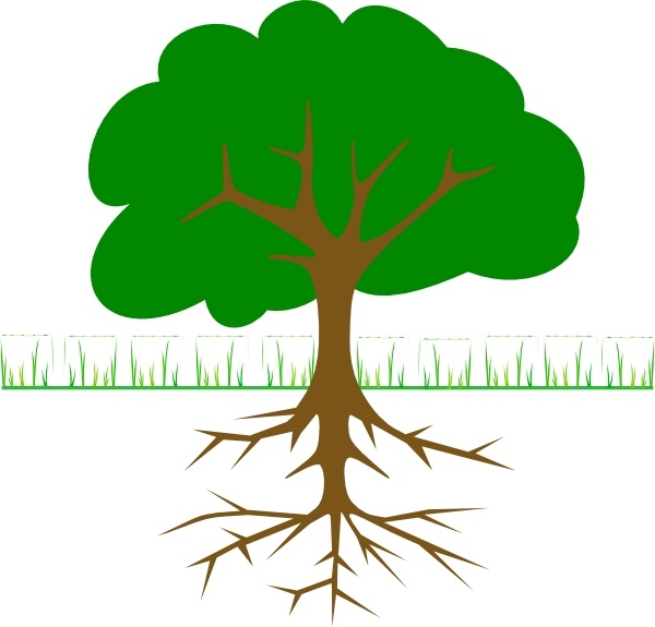 600x575 Tree Branches And Roots Clip Art Free Vector In Open Office