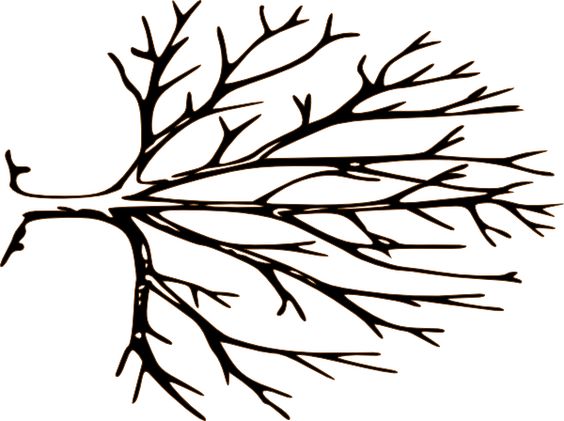 564x421 Tree With Tree Branches Clipart