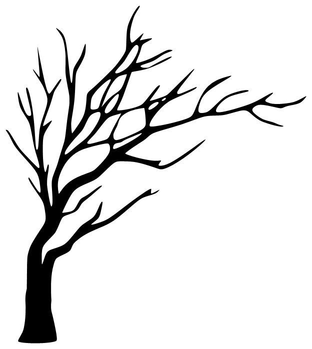 624x698 Best Tree Outline Ideas Simply Image, Image