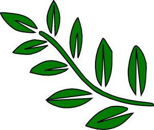 300x253 Green Tree Branch Clip Art