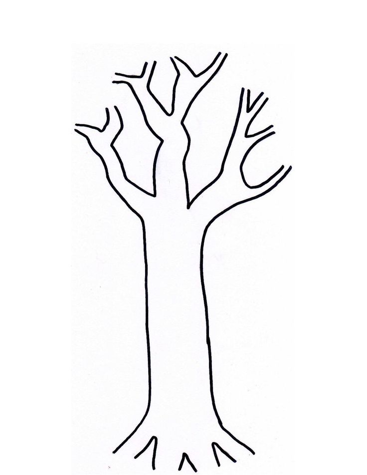 736x952 Tree Trunk Clip Art 4