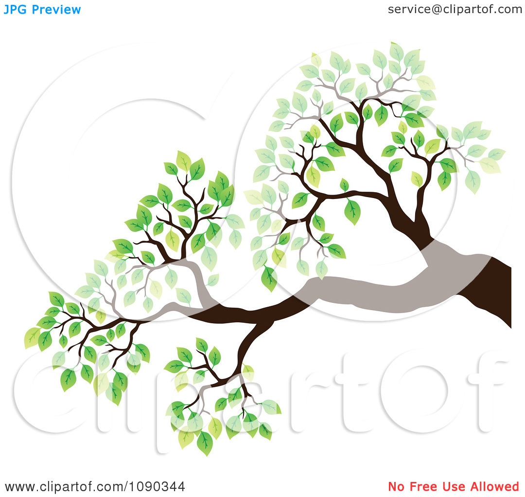 1080x1024 Tropical Tree Branches Clipart