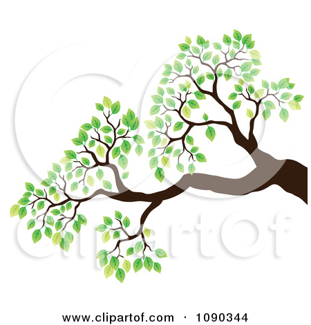 450x470 Branch Background Clipart