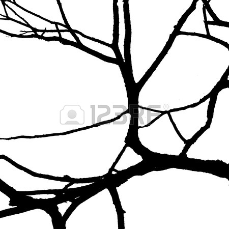 450x450 Dead Tree Branches Isolated On White Background Stock Photo