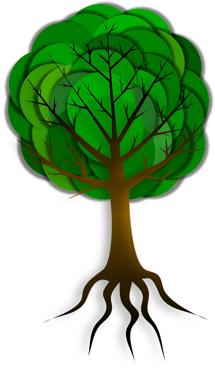 736x1280 106 Best Tree Images Drawing And Plants