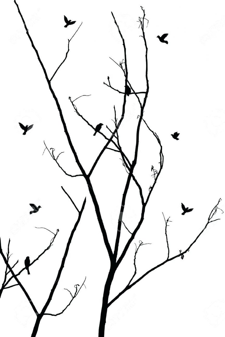 863x1291 Outline Tree Branches Of Roots Three Outline Of Tree