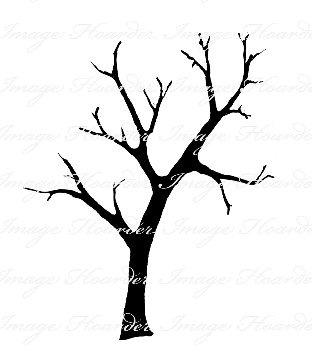 1313x1500 Tree And Branches Clipart