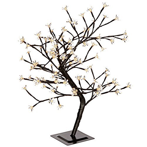 500x500 Tree Branches Amazon.co.uk