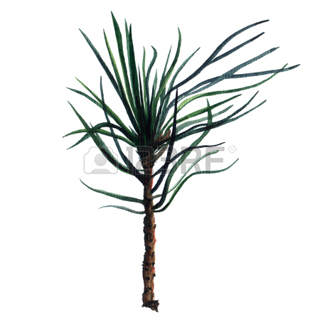 450x450 Watercolor Christmas Tree Branches. Stock Photo, Picture