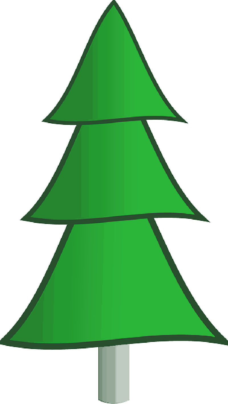 800x1418 Evergreen, Outline, Drawing, Plants, Tree, Cartoon