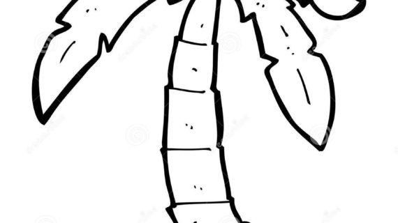 570x320 Palm Tree Cartoon Drawing Cartoon Coconut Tree Stock Vector