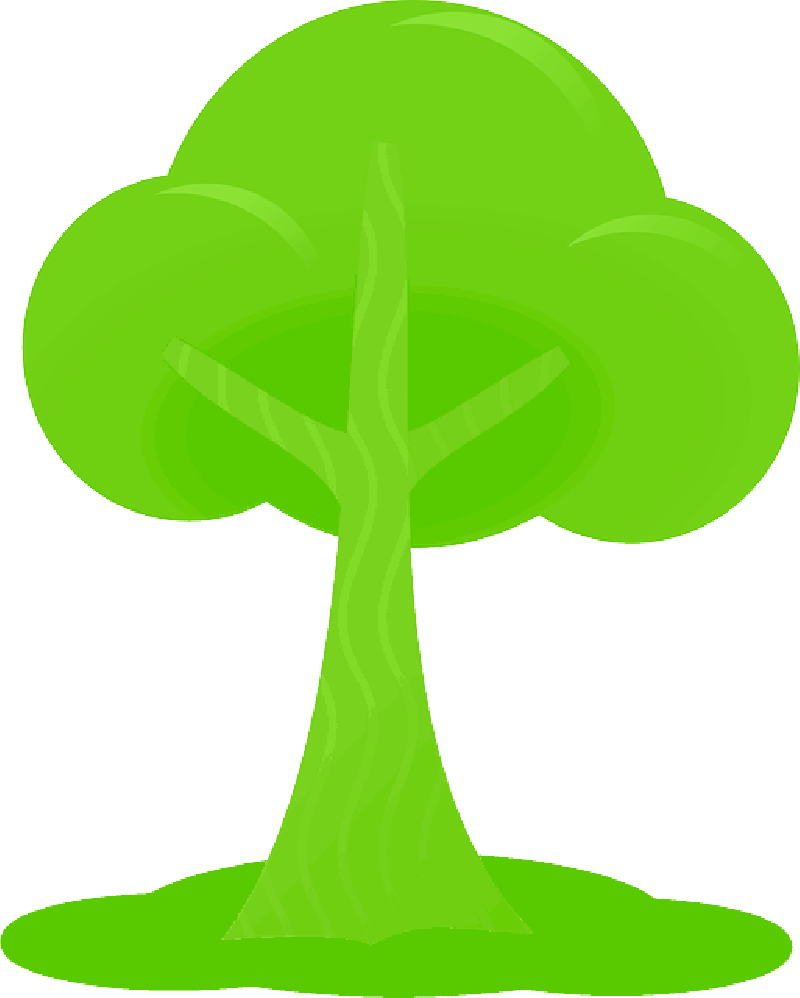 800x998 Simple, Outline, Drawing, Tree, Cartoon, Free, Peach