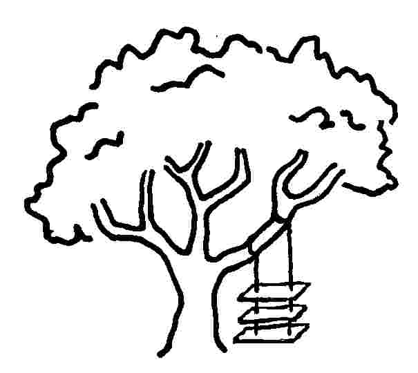605x540 Tree Cartoon Drawing