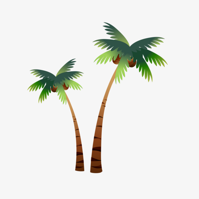 650x651 Cartoon Coconut Trees, Coconut Tree, Cartoon Png Image For Free