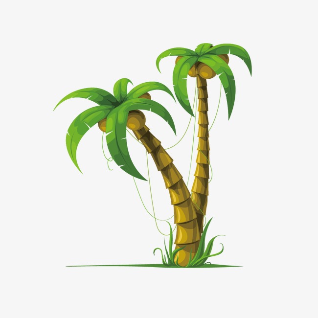 650x650 Coconut Tree, Cartoon Coconut Trees, Cartoon Png And Vector