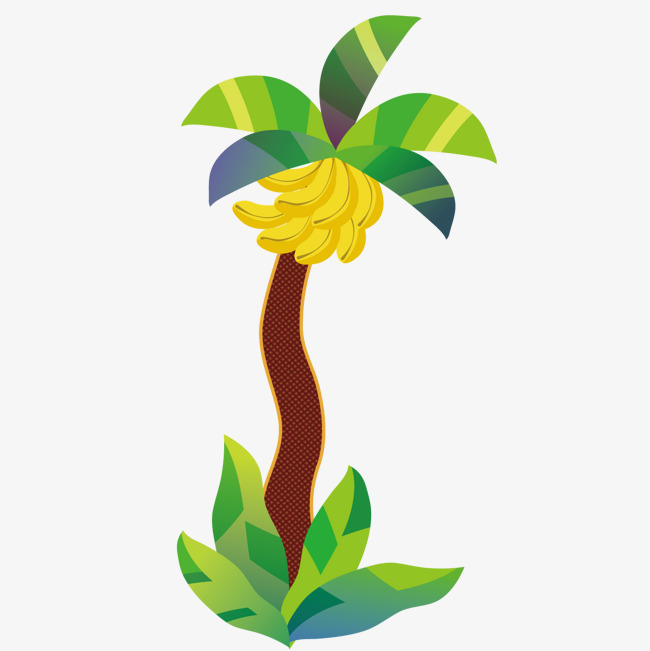 650x651 Fine Banana Tree, Fine, Banana Tree, Cartoon Png And Vector