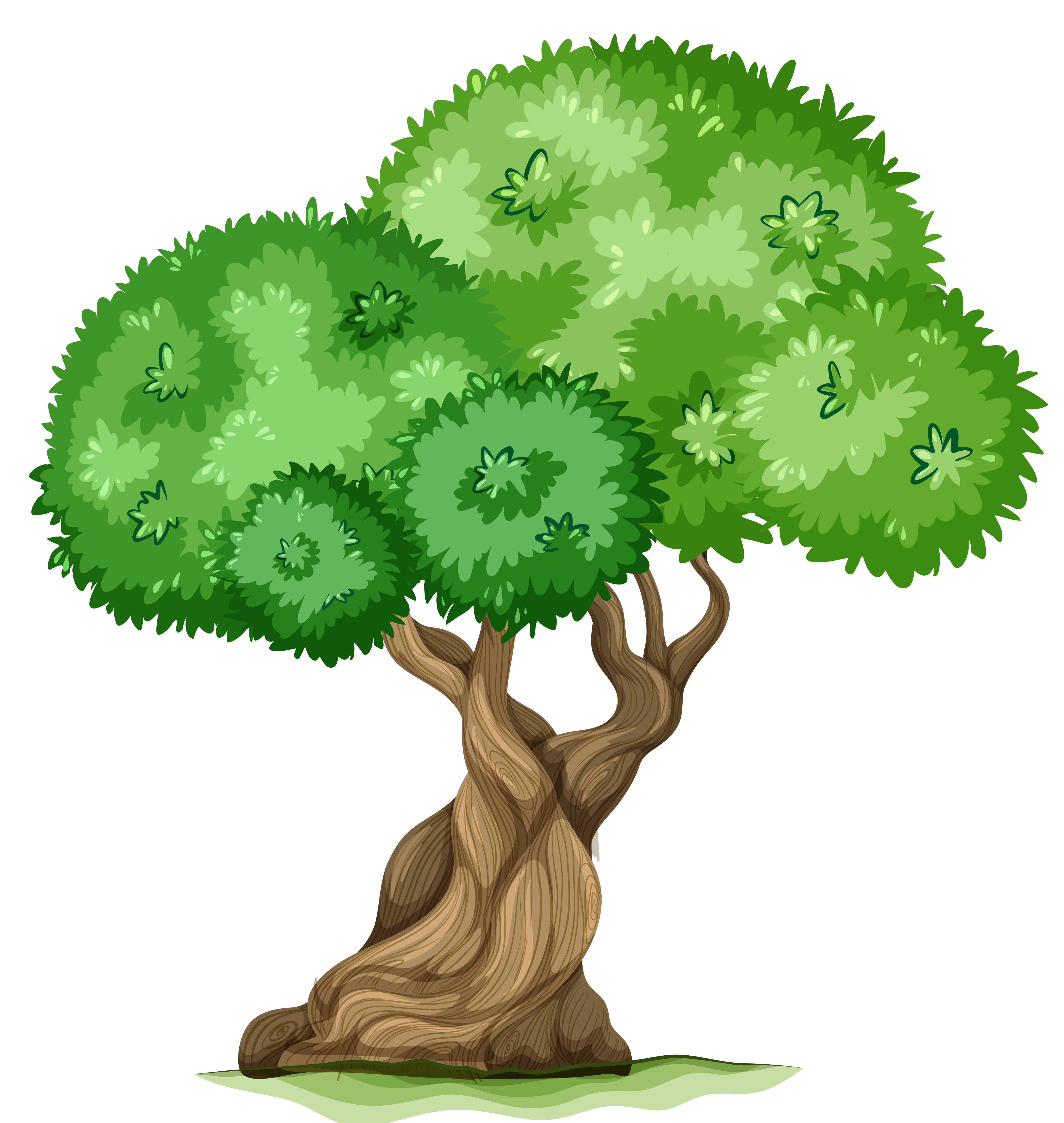 4862x5132 Top 88 Trees Clip Art